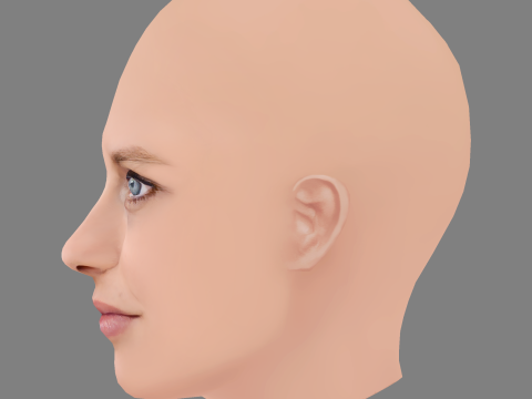 Teresa Palmer Head - No Hair - Low poly head for game 3Dモデル