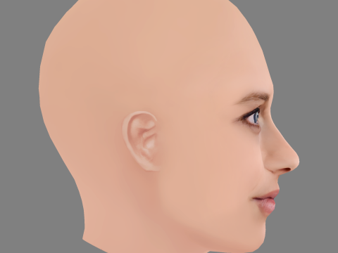 Teresa Palmer Head - No Hair - Low poly head for game 3Dモデル