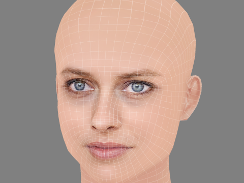 Teresa Palmer Head - No Hair - Low poly head for game 3Dモデル