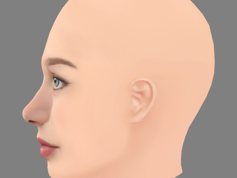 Teagan Croft Head - No Hair - Low poly head for game 3D Модель