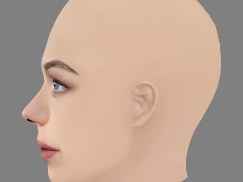 Taisiya Vilkova Head - No Hair - Low poly head for game 3D Model