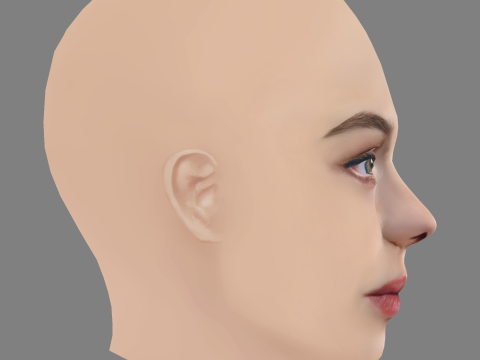 Taisiya Vilkova Head - No Hair - Low poly head for game 3D Model