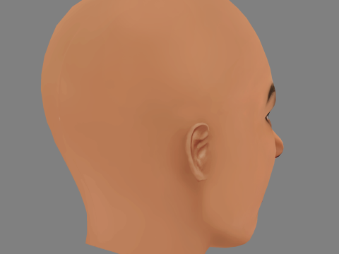 Tais Araujo Head - No Hair - Low poly head for game 3D Model