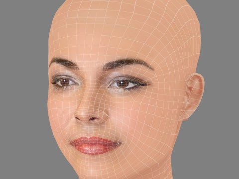 Taina Muller Head - No Hair - Low poly head for game Model 3D