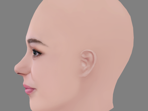Synnove Karlsen Head - No Hair - Low poly head for game 3D Модель