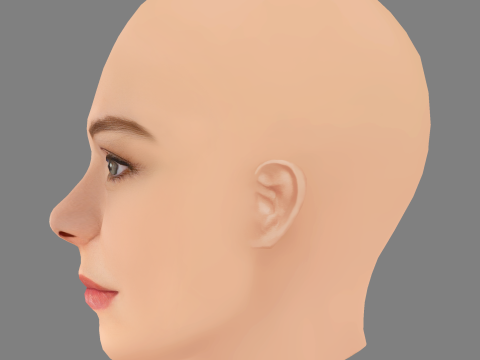 Sydney Wade Head - No Hair - Low poly head for game 3D Model