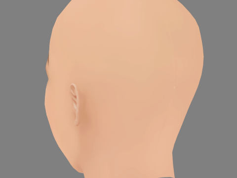 Sydney Wade Head - No Hair - Low poly head for game 3D Model