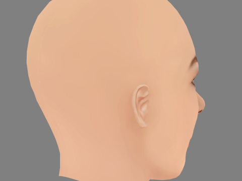 Sydney Wade Head - No Hair - Low poly head for game 3D Model