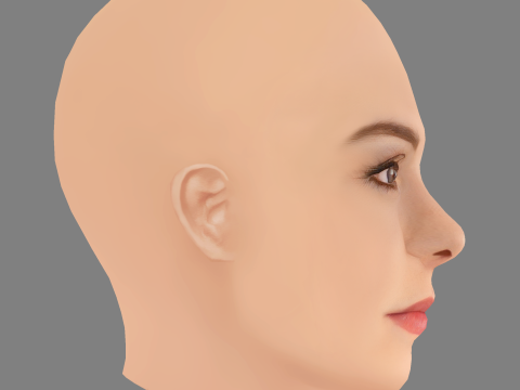 Sydney Wade Head - No Hair - Low poly head for game 3D Model