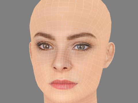 Sydney Wade Head - No Hair - Low poly head for game 3D Model