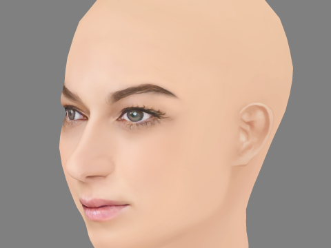 Sydney Meyer Head - No Hair - Low poly head for game 3D 模型