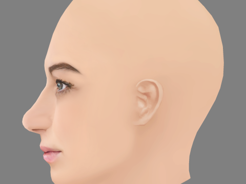 Sydney Meyer Head - No Hair - Low poly head for game 3D 模型
