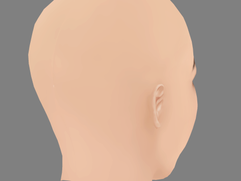 Sydney Meyer Head - No Hair - Low poly head for game 3D 模型