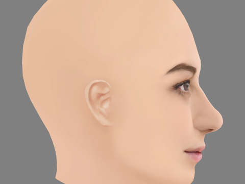 Sydney Meyer Head - No Hair - Low poly head for game 3D 模型