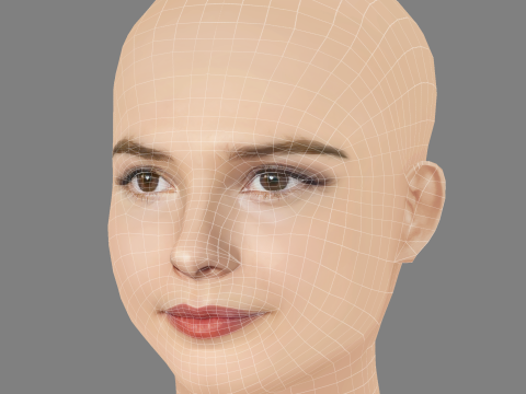 Stefanie Scott Head - No Hair - Low poly head for game 3D Model