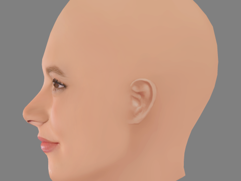 Sosie Bacon Head - No Hair - Low poly head for game 3D Модель