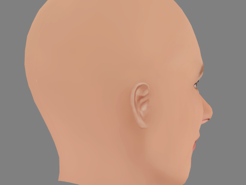 Sosie Bacon Head - No Hair - Low poly head for game 3D Модель