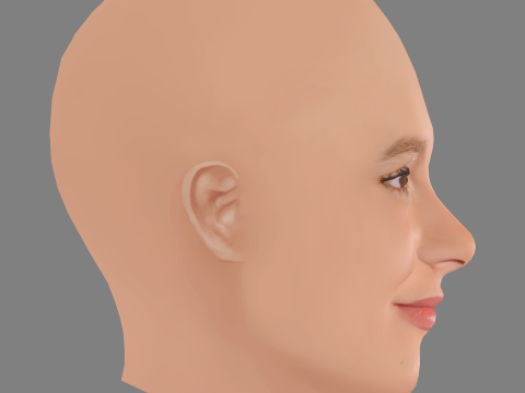 Sosie Bacon Head - No Hair - Low poly head for game 3D Модель