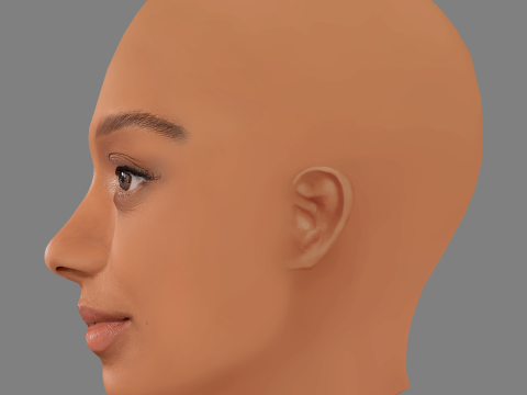 Sophie Wilde Head - No Hair - Low poly head for game Model 3D