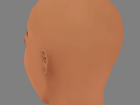 Sophie Wilde Head - No Hair - Low poly head for game Model 3D
