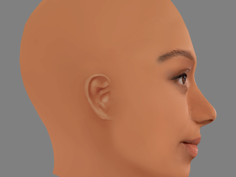 Sophie Wilde Head - No Hair - Low poly head for game Model 3D