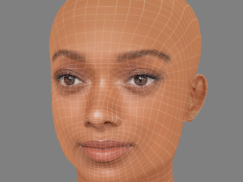Sophie Wilde Head - No Hair - Low poly head for game Model 3D