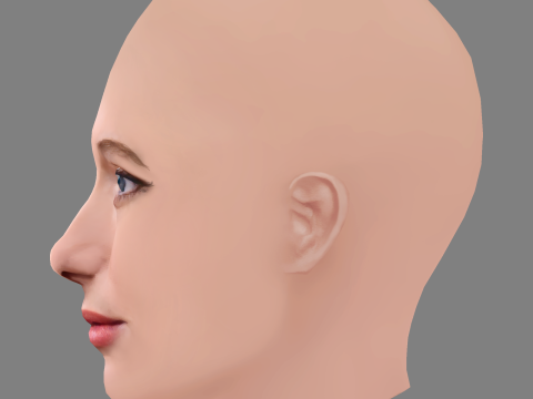 Sophie Lowe Head - No Hair - Low poly head for game 3D Model