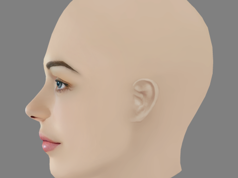 Sofya Sinitsyna Head - No Hair - Low poly head for game 3Dモデル
