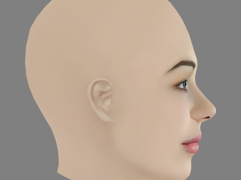 Sofya Sinitsyna Head - No Hair - Low poly head for game 3Dモデル