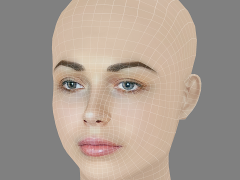 Sofya Sinitsyna Head - No Hair - Low poly head for game 3Dモデル