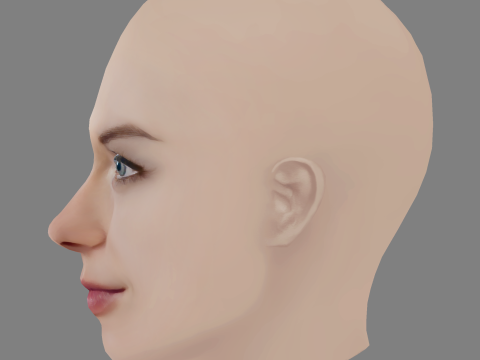 Sofya Shutkina Head - No Hair - Low poly head for game Modèle 3D