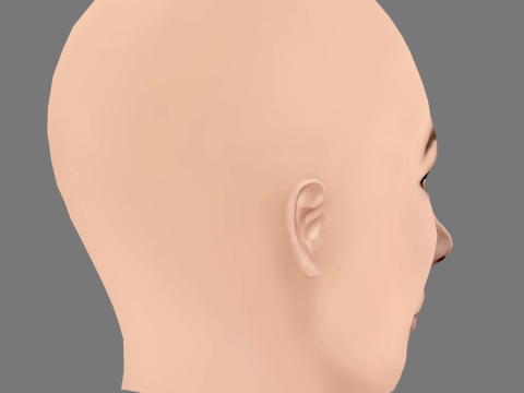 Sofia Sisniega Head - No Hair - Low poly head for game Model 3D
