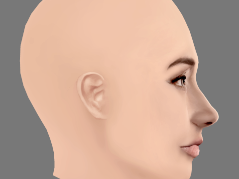 Sofia Sisniega Head - No Hair - Low poly head for game Model 3D