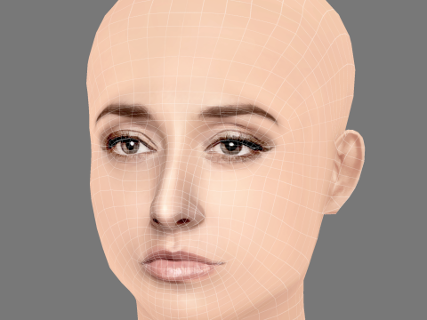 Sofia Sisniega Head - No Hair - Low poly head for game Model 3D