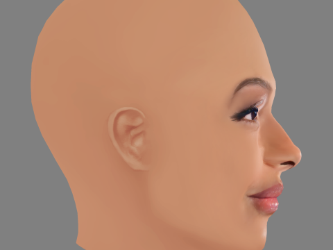 Sheron Menezzes Head - No Hair - Low poly head for game 3Dモデル
