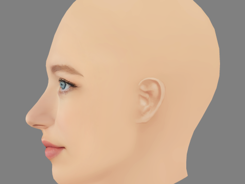 Shay Rudolph Head - No Hair - Low poly head for game 3D Модель