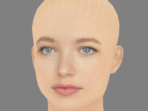 Shay Rudolph Head - No Hair - Low poly head for game 3D Модель