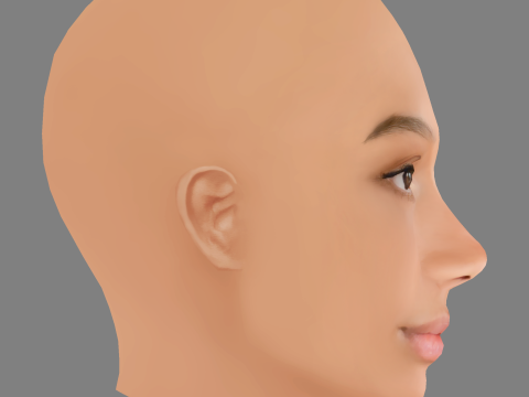 Savannah La Rain Head - No Hair - Low poly head for game Model 3D