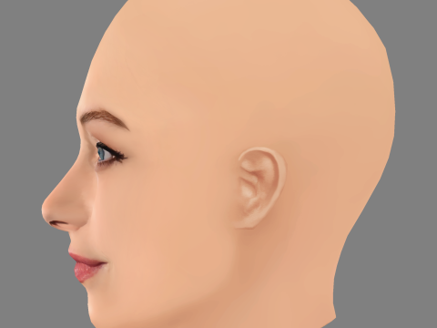 Sarah Gadon Head - No Hair - Low poly head for game 3D 模型