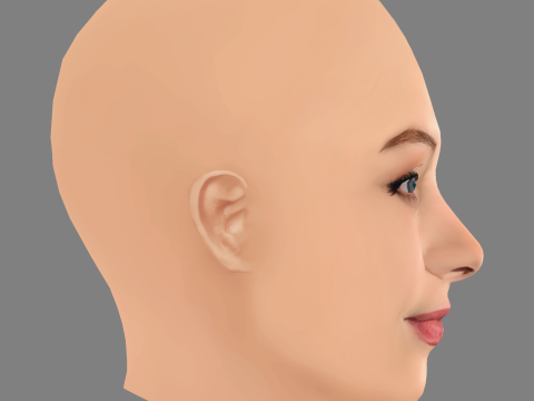 Sarah Gadon Head - No Hair - Low poly head for game 3D 模型