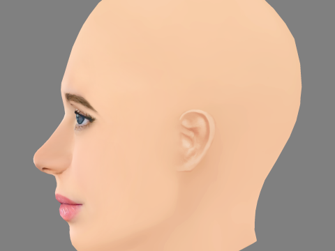 Sarah Fisher Head - No Hair - Low poly head for game 3D Model