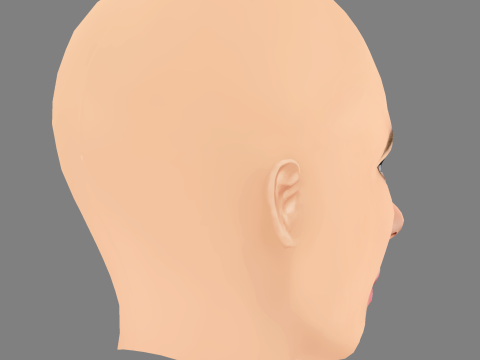 Sarah Fisher Head - No Hair - Low poly head for game 3D Model
