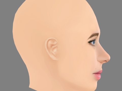 Sarah Fisher Head - No Hair - Low poly head for game 3D Model
