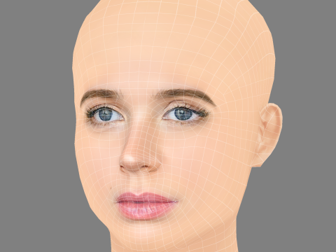 Sarah Fisher Head - No Hair - Low poly head for game 3D Model