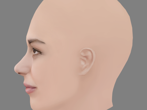 Sara Serraiocco Head - No Hair - Low poly head for game 3D Model