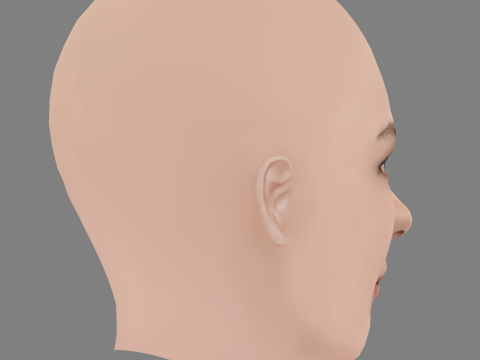 Sara Serraiocco Head - No Hair - Low poly head for game 3D Model