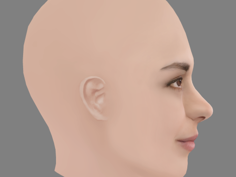 Sara Serraiocco Head - No Hair - Low poly head for game 3D Model
