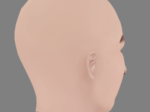 Sara Jimenez Head - No Hair - Low poly head for game 3D Model