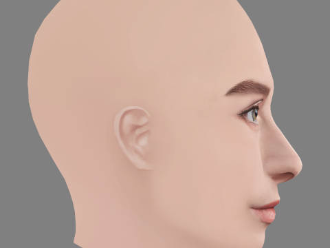 Sara Jimenez Head - No Hair - Low poly head for game 3D Model