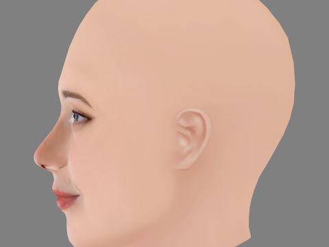 Salome Richard Head - No Hair - Low poly head for game 3D 模型